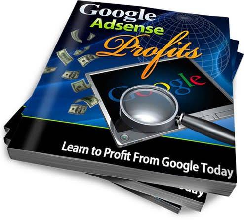 Google Adsense Profits