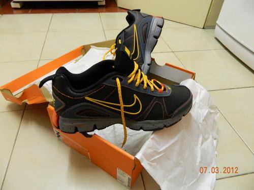 Nike Dual Fusion TRII
