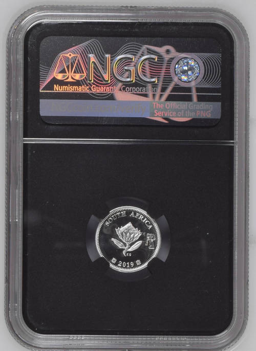 HOT  - 2019  SILVER 2.5C POLYMER PUTTY DBN FLYPRESS  PF70UC - FIRST RELEASES