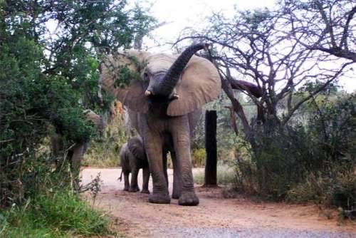 Public Holiday Midweek Mabalingwe 24 Sep 18 to 28 Sep 18