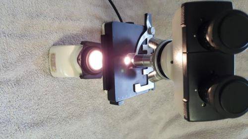 Westbury SP40 Binocular Compound Microscope