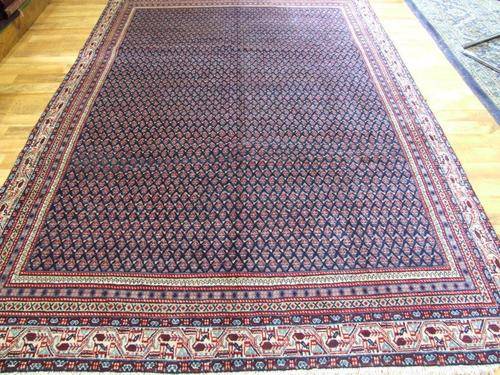 CARPET