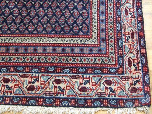 CARPET