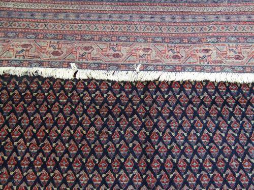 CARPET
