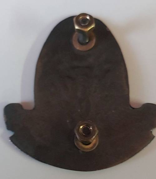 61 Mech beret badge