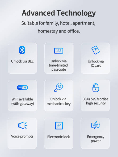 WIFI Control Smart Life Tuya Digital Smart Door Handle Lock (Black)
