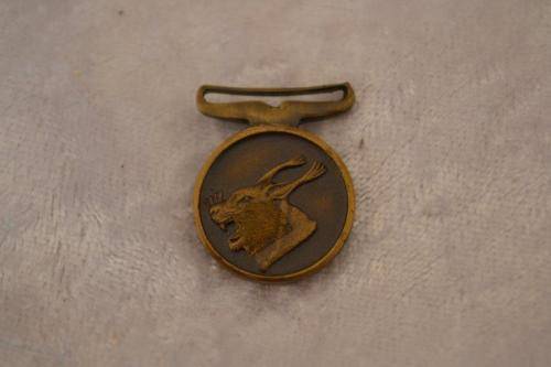 Miniature Homelands medal.