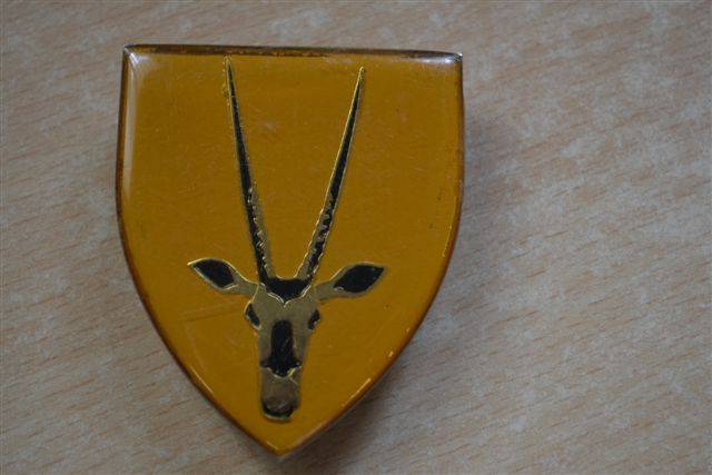 8 SAI metal shoulder flash. All pins intact.