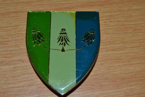 Far North Command Signal unit shoulder flash. Pins intact