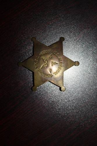 US Marshal  Texas badge brass