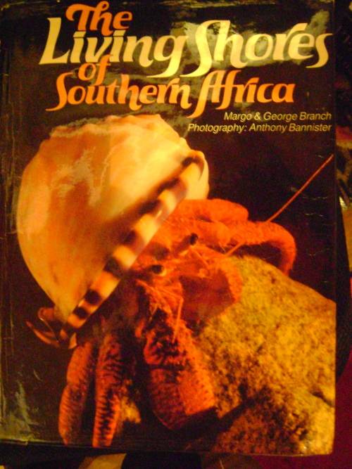 The Living Shores of Southern Africa - Margo & George Branch