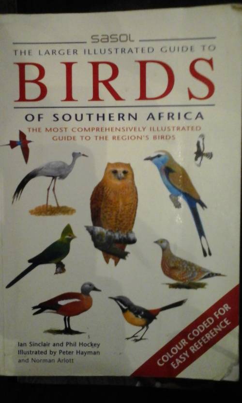 Sasol--the Larger Illustrated Guide to Birds of Southern Africa: The Most Comprehensively Illustrate