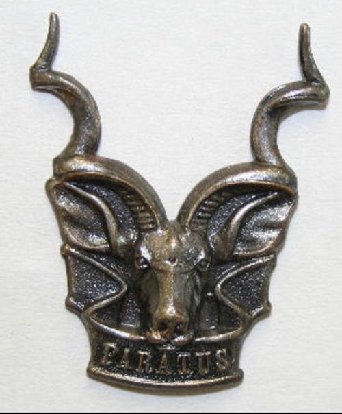 SWATF Area Beret badge with all pins intact