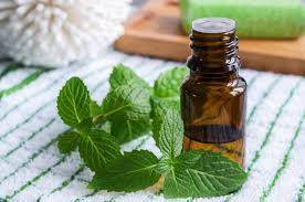 Peppermint Essential Oil50 ml (1/3 oz). 100% Pure, Undiluted