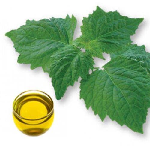 Patchouli Essential Oil10 ml (1/3 oz). 100% Pure, Undiluted
