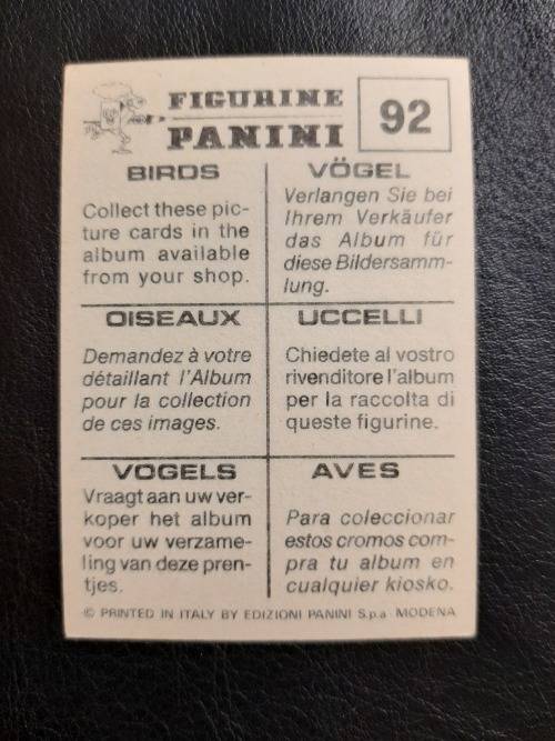 Figurine Panini Birds Sticker #92 (1979)