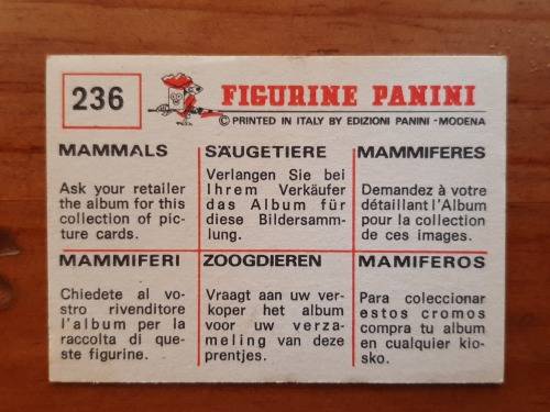 Figurine Panini Mammals Sticker #236 (1978)
