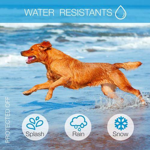 Anti Bark Training Collar - Humane with Vibration No Shock Collar