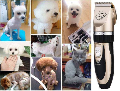 Pet (dog) clippers - Rechargeable & Cordless
