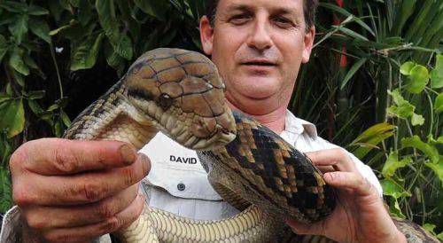 Snake catching stick - 152 cm Heavy duty