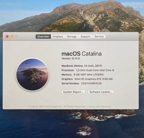 Apple MacBook 2017 12-Inch i5 8GB 512GB Rose Gold (Model A1534) - Pre-Owned (FREE SHIPPING)