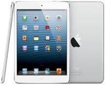 APPLE  IPAD  MINI     16  GB   WIFI   (  black   ) .