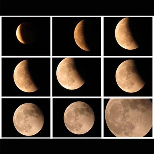 32X F40040 Monocular Refractor Telescope with Finderscope