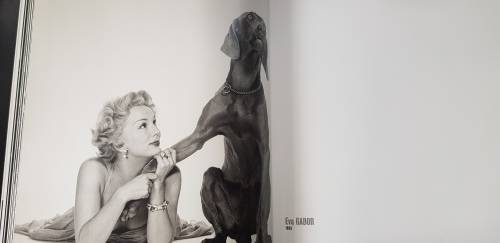 Philippe Halsman a Retrospective Photographs FIRST EDITION