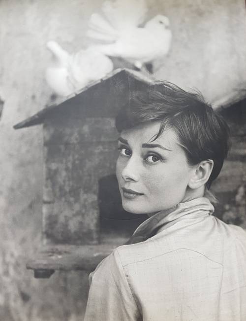 Philippe Halsman a Retrospective Photographs FIRST EDITION