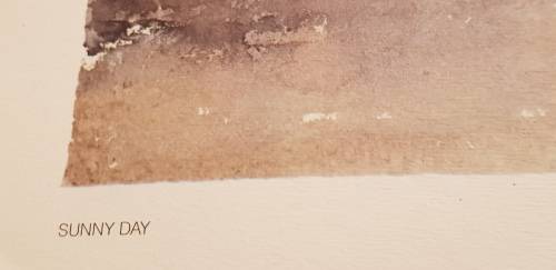 SUNNY DAY print signature reflecting Durant Basi Sihlali