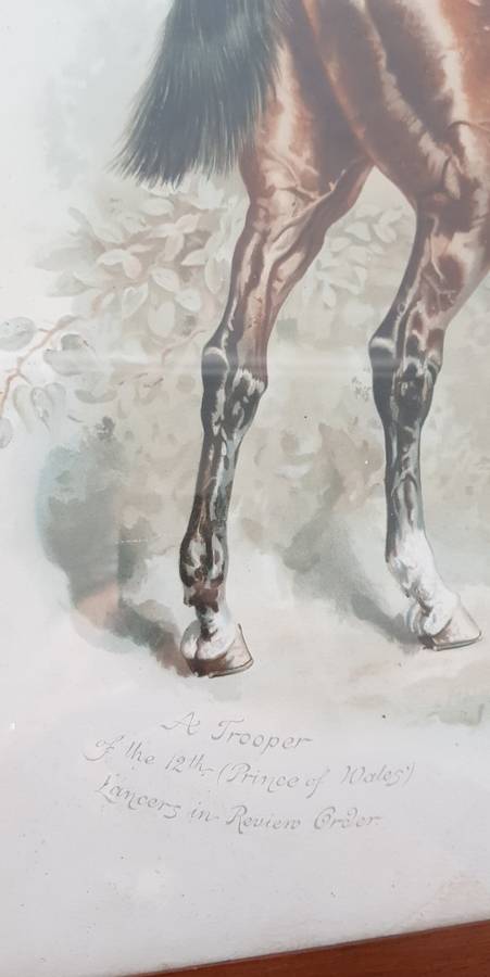 Harry Payne Litho Print