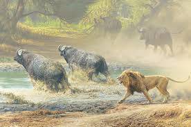 Botswana A brush with the wild
