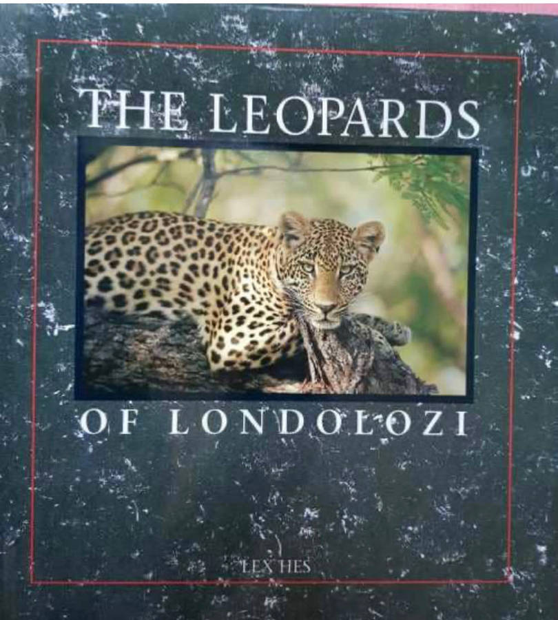 Africana The Leopards of Londolozi