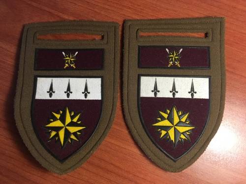 A pair of 1 Special Forces Regiment (Recce) rubberised shoulder flashes