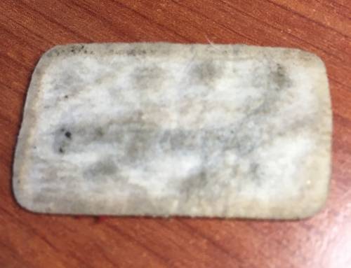 SWA Cloth tracker Instructor badge