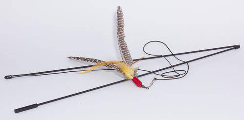 Da Bird - the best interactive cat toy ever
