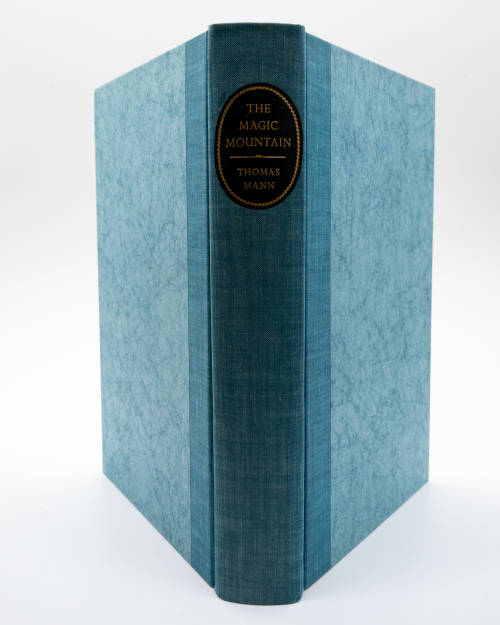 The Magic Mountain by Thomas Mann