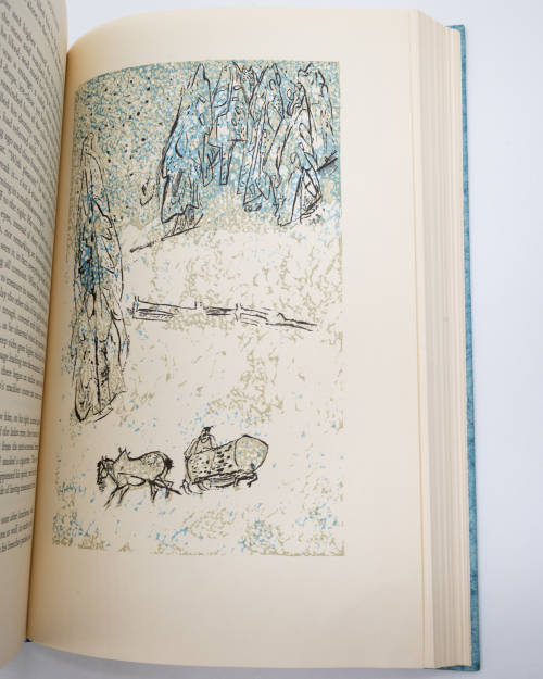 The Magic Mountain by Thomas Mann