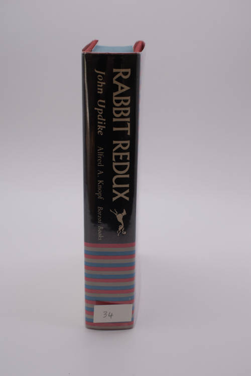 Rabbit Redux by John Updike