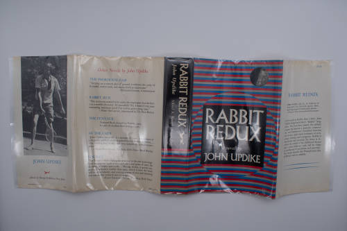 Rabbit Redux by John Updike