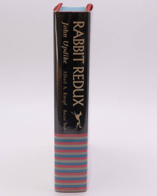 Rabbit Redux by John Updike
