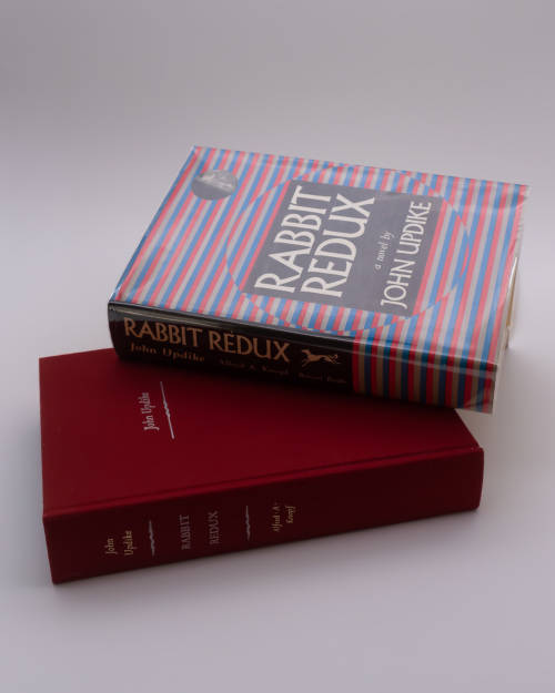 Rabbit Redux by John Updike