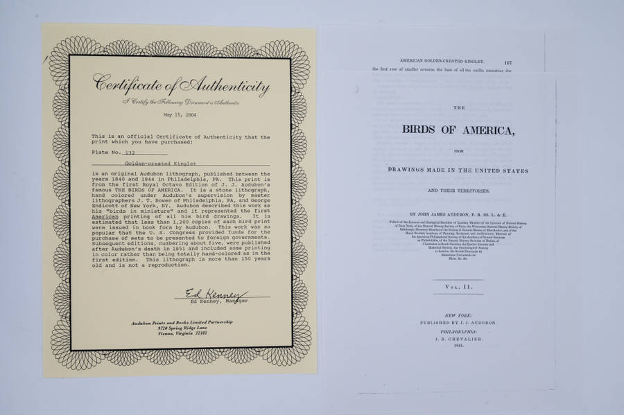 American Golden Crested Kinglet Plate 132 by John James Audubon