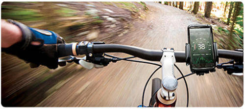 Capdase Universal Cellphone Bicycle Mount