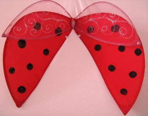 Ladybug Wings