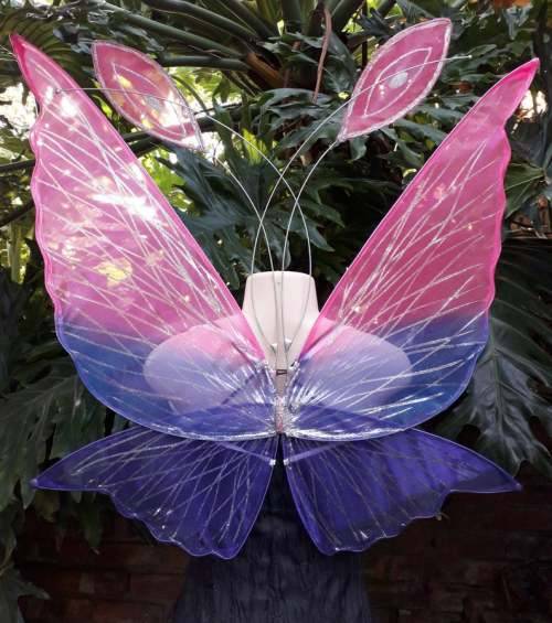 Chrysalis Fairy Wings for Adults