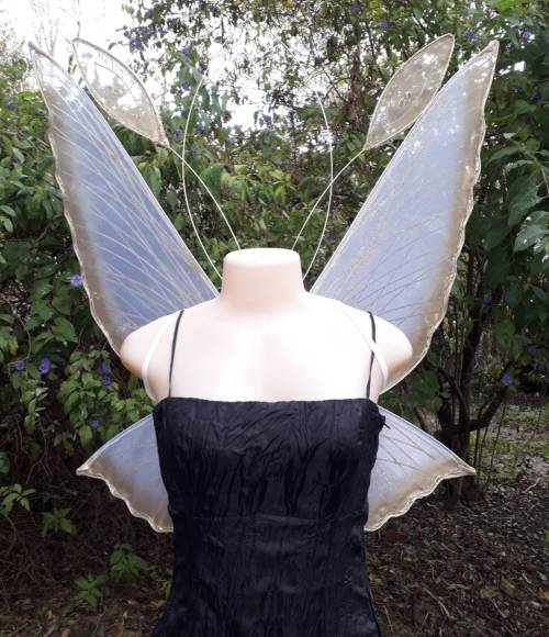 Chrysalis Fairy Wings for Adults