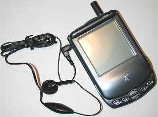 TREO PALM