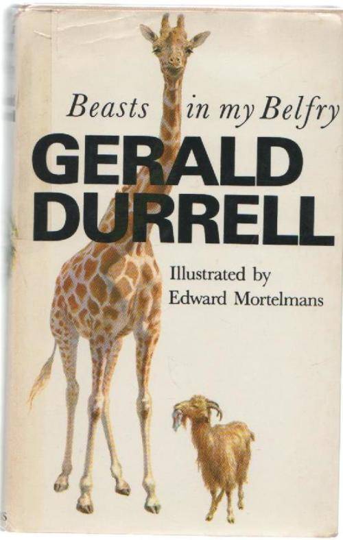 BEASTS IN MY BELFRY - GERALD DURRELL (1 ST PUBLISHED 1973)
