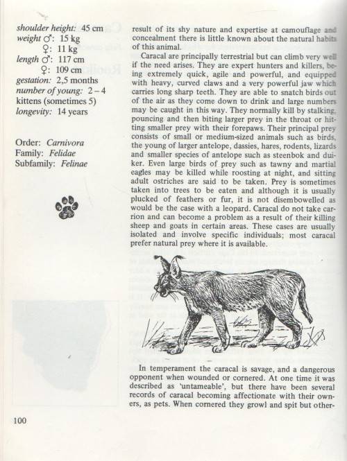 MABERLY'S MAMMALS OF SOUTHERN AFRICA - RICHARD GOSS (1990)
